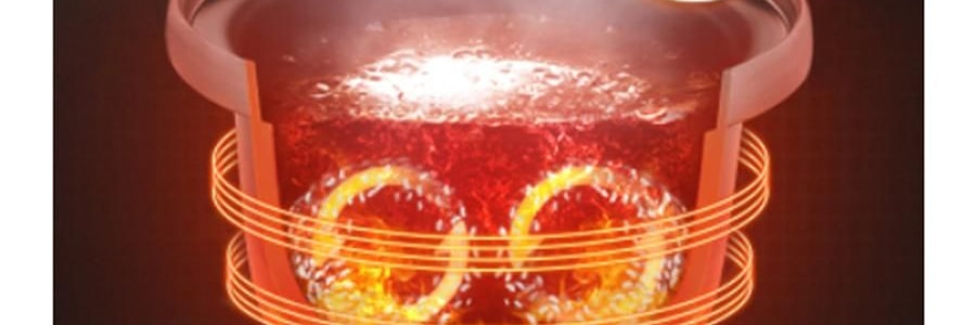 ZENO 紫砂电炖锅 多功能电砂锅电炖盅 煲汤锅炖汤锅 4L-ZSD-406U【限量送磁力搅拌咖啡杯】