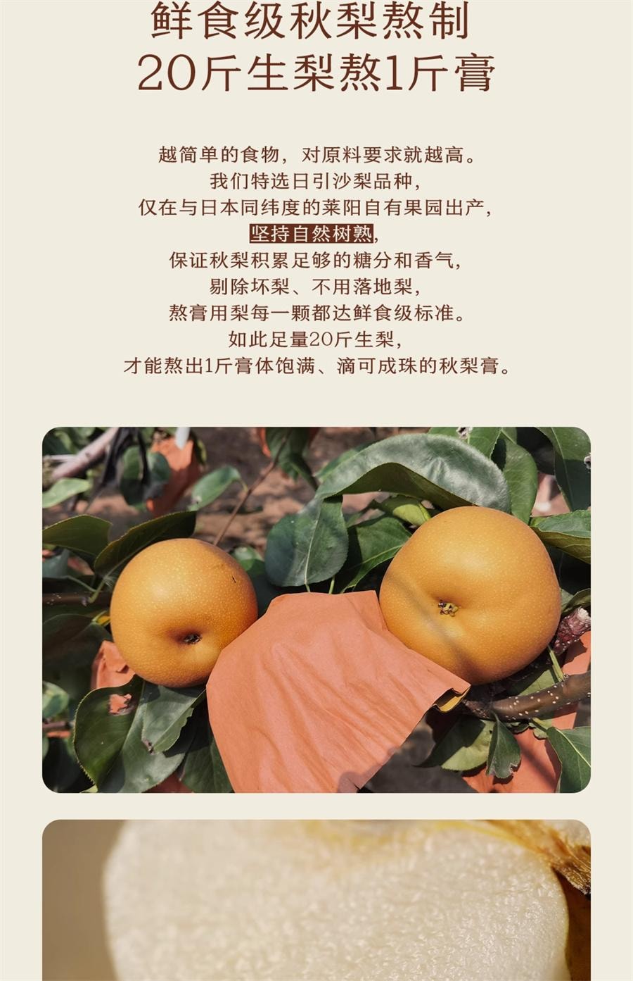 【中国直邮】 南食召 秋梨膏 鲜食级优质秋梨品种·不加糖 纯梨膏泡水冲饮果酱250g/罐