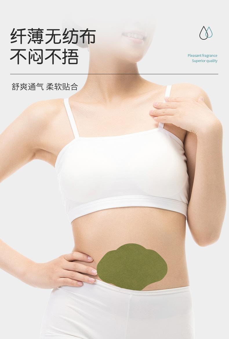 南京同仁堂 艾草美腰贴 纤姿贴 减肥瘦腰 艾灸热敷艾腰贴 12贴/盒