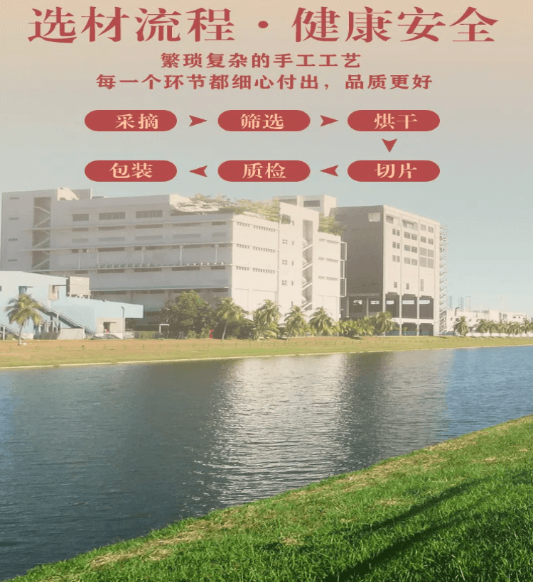 常椿 供货采芝林| 茯苓 300g 四神汤 不熏硫 供货三甲医院永旺等高端超市 单克便宜 祛湿去湿气健脾养胃安心神