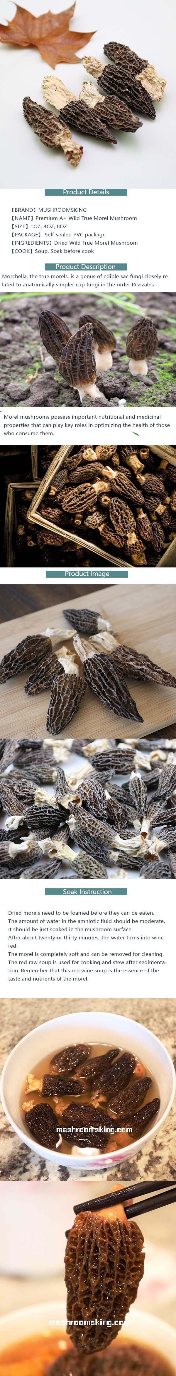 XLSEAFOOD 雲南香格里拉 野生菌 特級 全乾 野生羊肚菌 中號裝 4OZ 113克裝