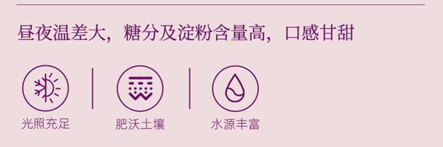 盒馬 一口糯倒蒸紫薯乾 180g【亞米獨家】