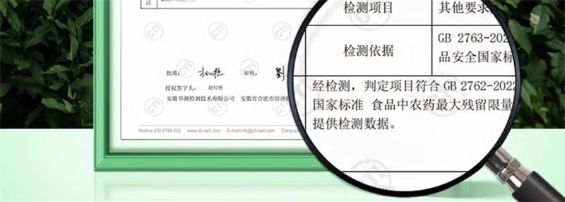 【中国直邮】 狮峰茶叶 2025新茶狮峰牌精选老茶树明前龙井茶叶特级春绿茶 250g