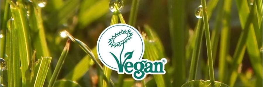 韩国GRABITY 防脱固发洗发水 加强型 475ml​​ 缓解脱发 极细发质/短发专研