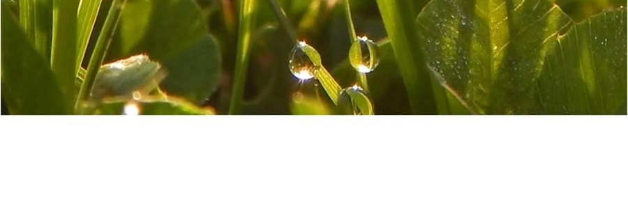 韩国GRABITY 防脱固发洗发水 加强型 475ml​​ 缓解脱发 极细发质/短发专研