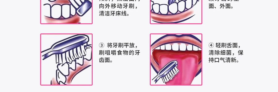 日本大正制药 齿科医生设计成人牙刷 一件入 前硬后软植毛小刷头 颜色随机发货