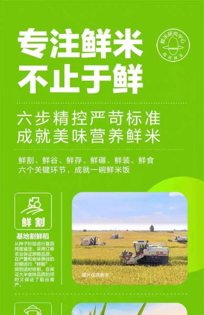 【中国直邮】 金龙鱼 稻谷鲜生大米500g*1袋