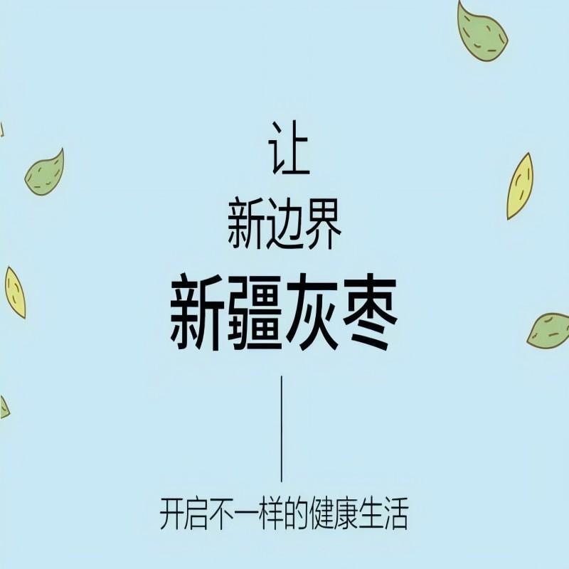 【中国直邮】 新边界 新疆灰枣蜜饯果干红枣枣子新疆特产煲汤煮粥办公室儿童孕妇休闲零食500g