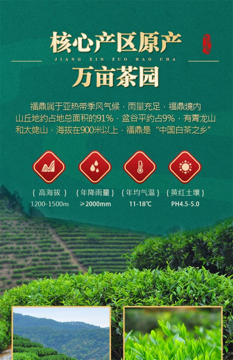 【中国直邮】 中闽峰州 老白茶500g 小茶饼紧压茶叶福鼎老白茶饼干礼盒装