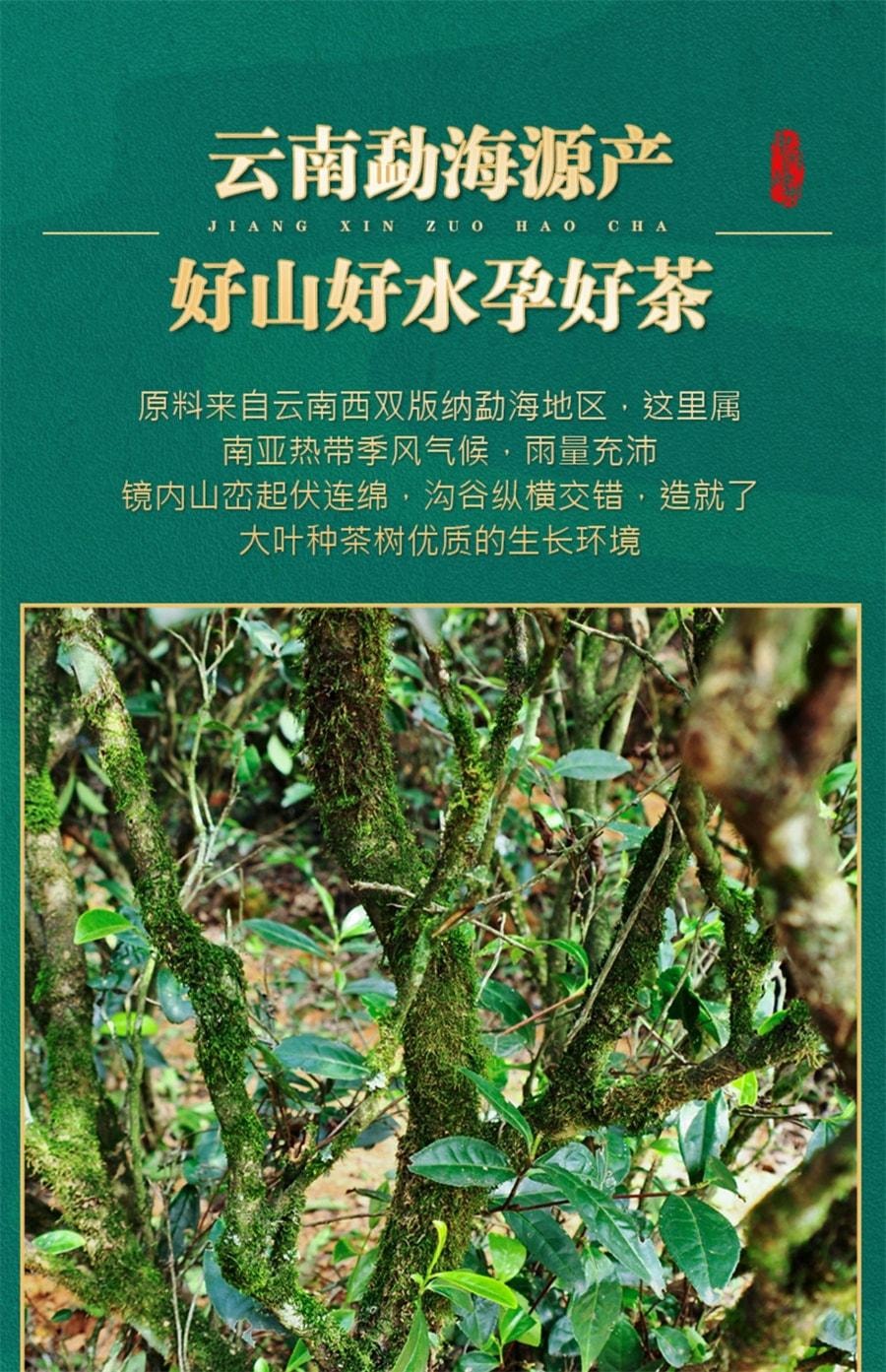 【中國直郵】 中閩峰州 雲南糯米香普洱茶熟茶小江茶餅小坨小粒裝禮盒裝小金磚茶葉 500g/桶