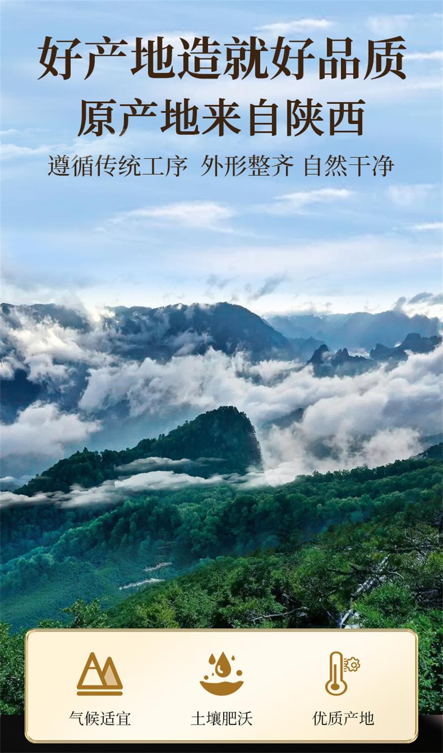 【中国直邮】 北京同仁堂 沙苑子105g/罐
