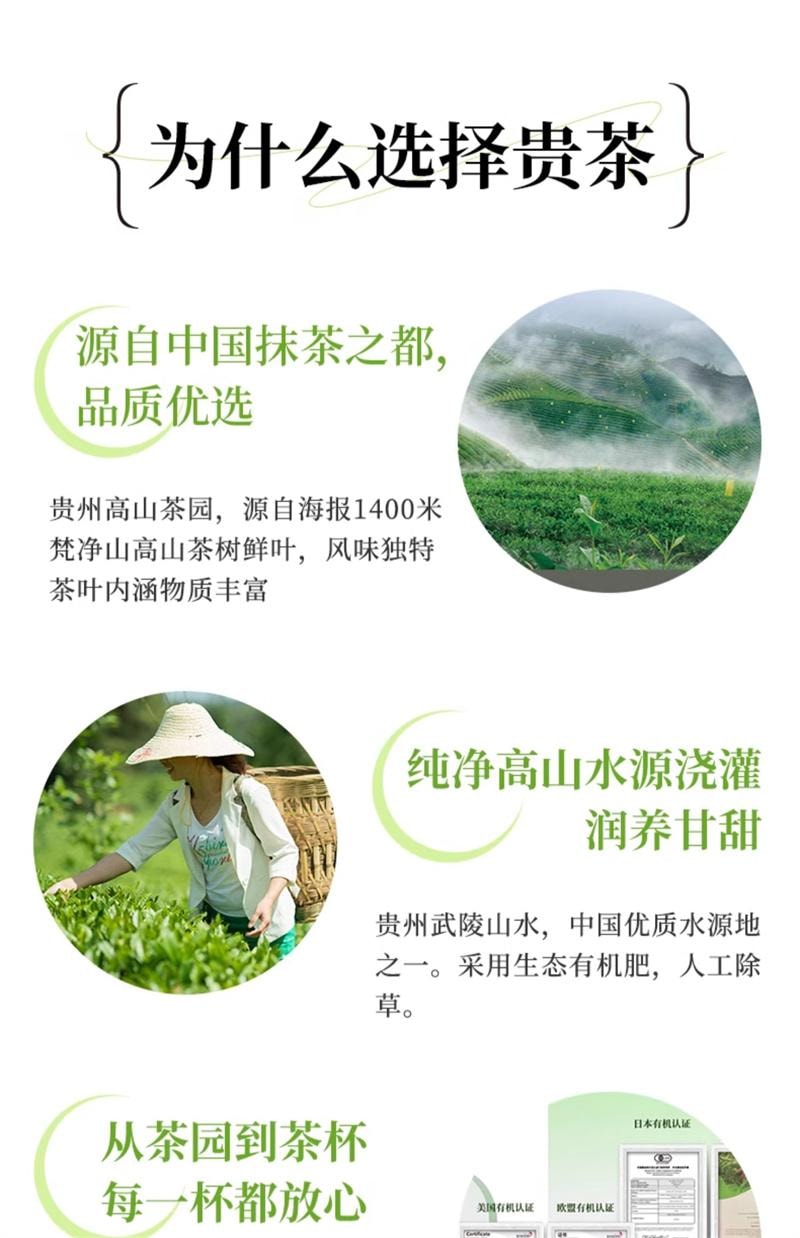【中国直邮】 闽贵 欧标纯抹茶粉 冲饮小包装3号生椰牛奶拿铁烘焙店专用 3号30g抹茶