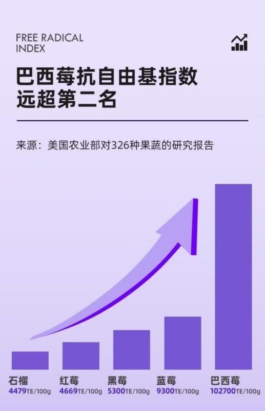 【中国直邮】 雀蜂 巴西莓粉 膳食纤维蔬菜粉 花青素 减肥瘦身3g*14条/盒