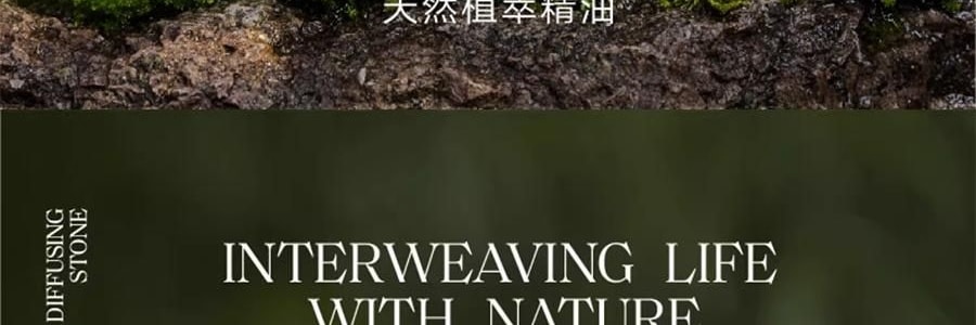 宋朝 四季閒庭系列擴香石擺件 送禮好物 高級香氛 綠葉調 容器*1 擴香石*1袋 精油*2 乾花*1包 #綠野仙踪