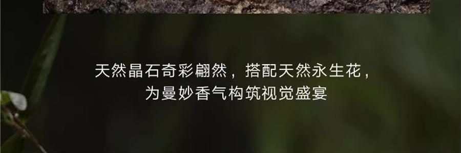 宋朝 四季閒庭系列擴香石擺件 送禮好物 高級香氛 綠葉調 容器*1 擴香石*1袋 精油*2 乾花*1包 #綠野仙踪