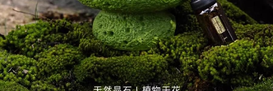 宋朝 四季閒庭系列擴香石擺件 送禮好物 高級香氛 綠葉調 容器*1 擴香石*1袋 精油*2 乾花*1包 #綠野仙踪