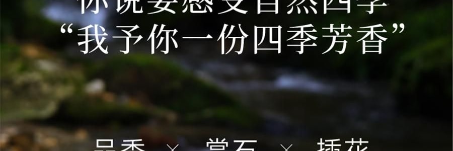 宋朝 四季閒庭系列擴香石擺件 送禮好物 高級香氛 綠葉調 容器*1 擴香石*1袋 精油*2 乾花*1包 #綠野仙踪