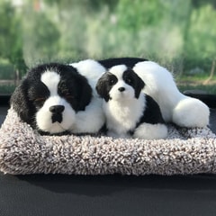 Border Collie-awake
