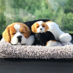 Beagle-awake