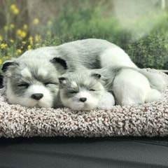 husky-sleep