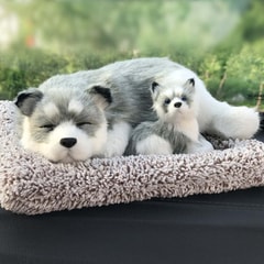 husky-awake