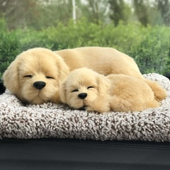 Labrador-sleep