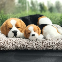 Beagle-sleep