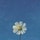 yami_UGC_image
