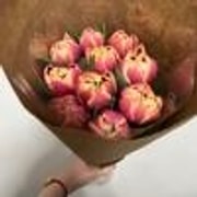 Yami UGC 이미지