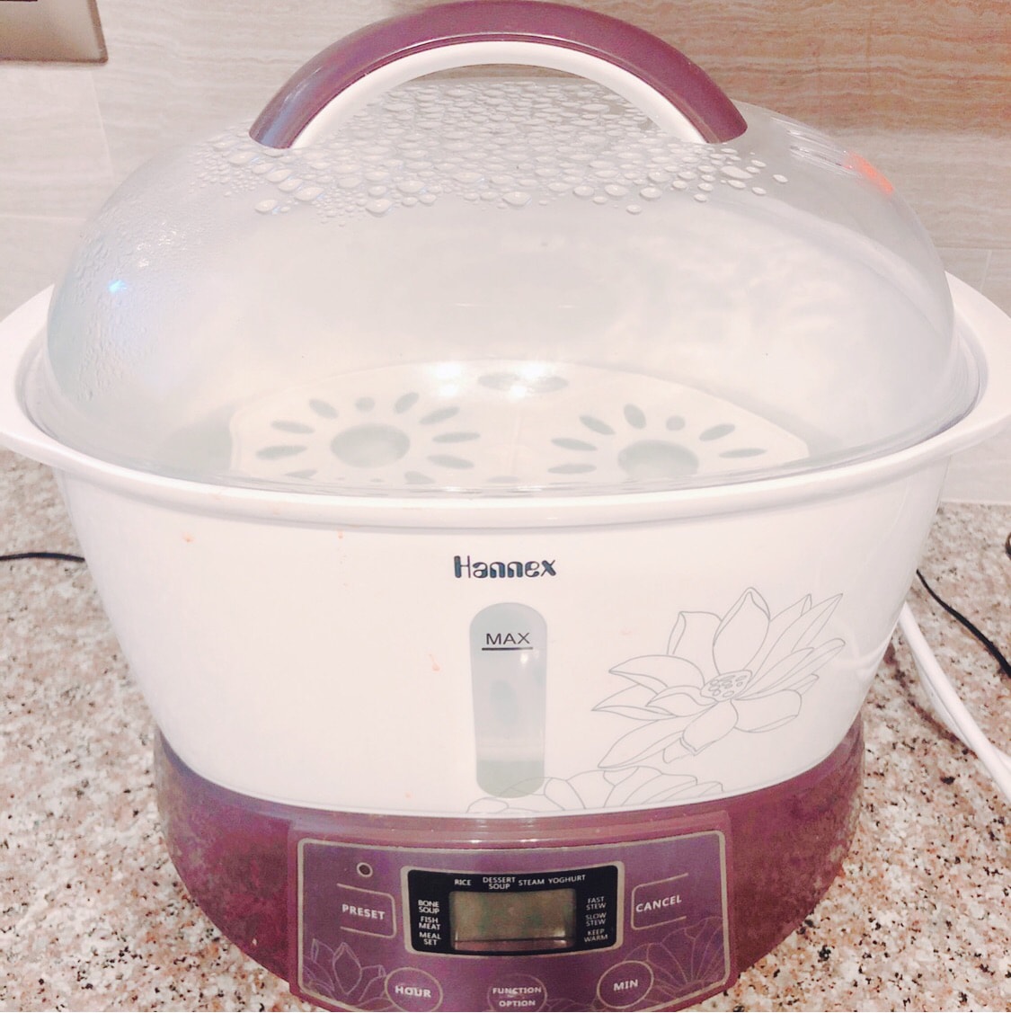  Hannex ESTJ322W Electric Stew Pot, 3.2 L, Purple: Home