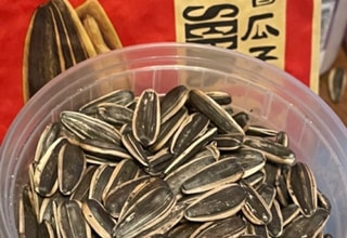 Yami UGC 이미지