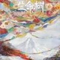 亚米UGC图片