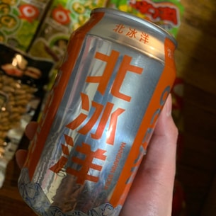 海南椰树牌 椰汁 盒装 245ml 国宴饮料 