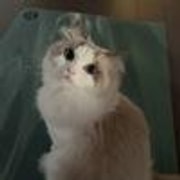 亚米UGC圖片