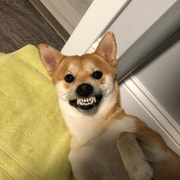 亚米UGC圖片