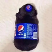 亚米UGC圖片