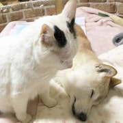 亚米UGC圖片