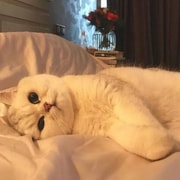 亚米UGC圖片