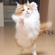 YamiUGC画像