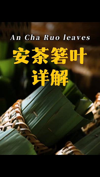 小師姐評茶 祁門安茶 安神養生茶 經典老六安糯香貢尖 傳統竹籃簬葉包裝中式茶禮 250克 3